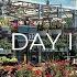 NEW ARRIVALS Lowes Garden Center May 2025 Inventory Perennials Annuals Shrubs Evergreens