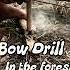 Bow Drill In The Forest Firemaking Survival Creativesurvival Bushcraft