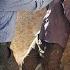 Umm Al Banin And Nemat Are Under Siege The Engineer Intends To Take Over The House