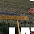 NEA SOME SAY Kokle Cover IRREGULARLY DRAMATIC LATVIAN