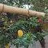 Vishnupurana Vishanu Motivation Facts Bhagwargeeta Garden
