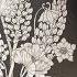 Star Joy Gold Pencils Botanicum By Maria Trolle