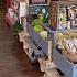 Viola Country Store Offers Small Town Charm And Richness Of Local Bounty