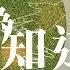 張雨生 Tom Chang 以為你都知道 電影 菜刀與六個朋友 插曲 Official Lyric Video