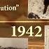 What Is The Holocaust Part 6 7 The Final Solution Coalesces 1941 1942