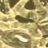 Gamma Ray Burst BATS