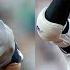MVP MAGIC The ENTIRE First Inning Between The Yankees And Dodgers Shohei Judge BOTH Homer