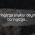 Boringizga Shukur Deyman Onajonim