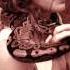 Tori Amos Mr Zebra Lyrics