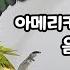 앵무새 말 가르치기 아메리카노 한 잔 주세요 1시간