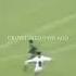 Erling Is Moaning Erlinghaaland Football Memes