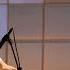 Performance By Mahora Nobel Prize Dialogue Tokyo 2025 The Future Of Life