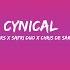Twocolors X Safri Duo X Chris De Sarandy Cynical Lyrics Lyric Letra