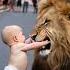 Lion Vs Cute Baby Short Video Part 2 Love Music Happyboy Animals Wildlife Lion Funny