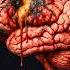 Harvard Doctor Alcohol Rewires Your Brain Even One Drink Harms Your Health