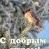 Доброго зимнего утра