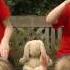 Makaton LITTLE PETER RABBIT Singing Hands