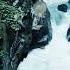 ANDRE RIEU The Godfather