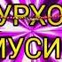 нурали муродалиев сабза баноз меоя