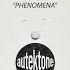 ROBPM Phenomena Original Mix
