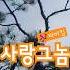 사랑그놈 바비킴 발라드 추억의가요