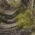 Bibio Two Paths