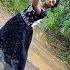 Appan Song Dance Trending