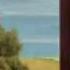 SF1 IDENT Kinder