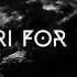 Harakiri For The Sky My Bones To The Sea Official Music Video