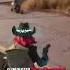 5 Kill Streak