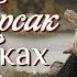 АЛИ КОРСАК В ПОИСКАХ СЕБЯ Новый рассказ из жизни Христианские рассказы Для широкого круга