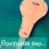 Ысык Көл 2024 Travel Kyrgyzstan
