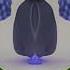 Pingu Intro Has A Conga Busher