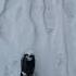Walking On Snow Sound