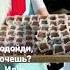 Подойди Хочешь Иди возьми себе тоже хит2023 подойди прикол медведь