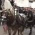 Flipagram Sant Antoni Meliana