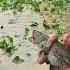 Fishing Skills Highland Boy Khai Harvests 12kg Of Catfish For Sale After Historic Storm
