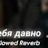 Rauf Faik я люблю тебя давно Slowed Reverb