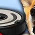 Talking Dogs Take On The EVIL Vacuum