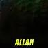 Everything The Quran Touches Turns To Gold Alhamdulillah