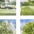 SIX Cool Techniques To Paint Trees For Beginners