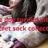 Collector Dog