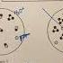 Unit 8 Important Information Part I Acids And Bases Sample Problems 12 15