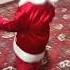 Qorbobo Shukur Nabijonov Qorbobo Baby