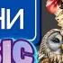 ПЕСНИ Танцевальные Озорные NEW 2025 ЗАЙДИ И ТАНЦУЙ Лучшая музыка