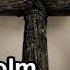 Rise Again Dallas Holm Lyrics
