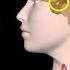 Thyroid Gland Hormones And Thyroid Problems Animation
