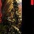 Berlioz Roméo Et Juliette Scène D Amour Love Scene Ct R Pierre Monteux London Symphony Orc