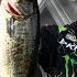 Bassmaster Elite On Lake Okeechobee THE CHASE With Cooper Gallant