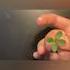 I Found A 4 Leaf Clover